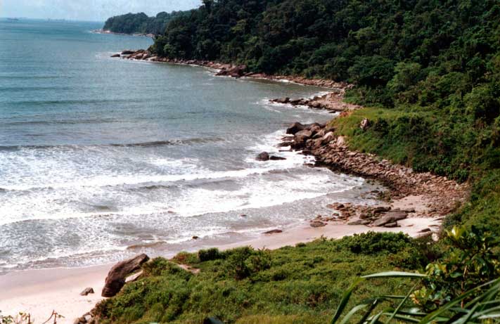 19.2c Fim da trilha. Praia na reserva ecológica Xixova Japui - São Vicente
