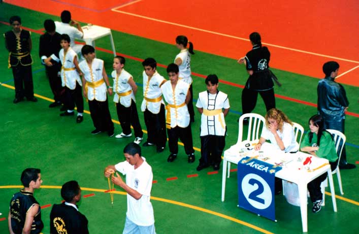 24.2 Victor participa do Mundialito de Kung Fu representando a sua academia