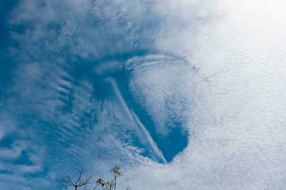 Nave alienígena e o Gray observando (2020)