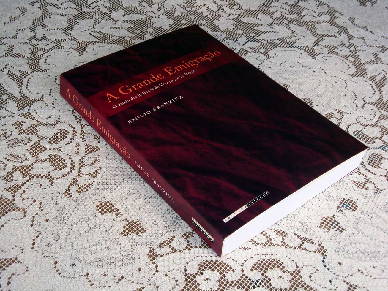 10. Libro 'La Grande Emigrazione, L'Esodo Degli Italiani a Brasile' di Emilio Franzina